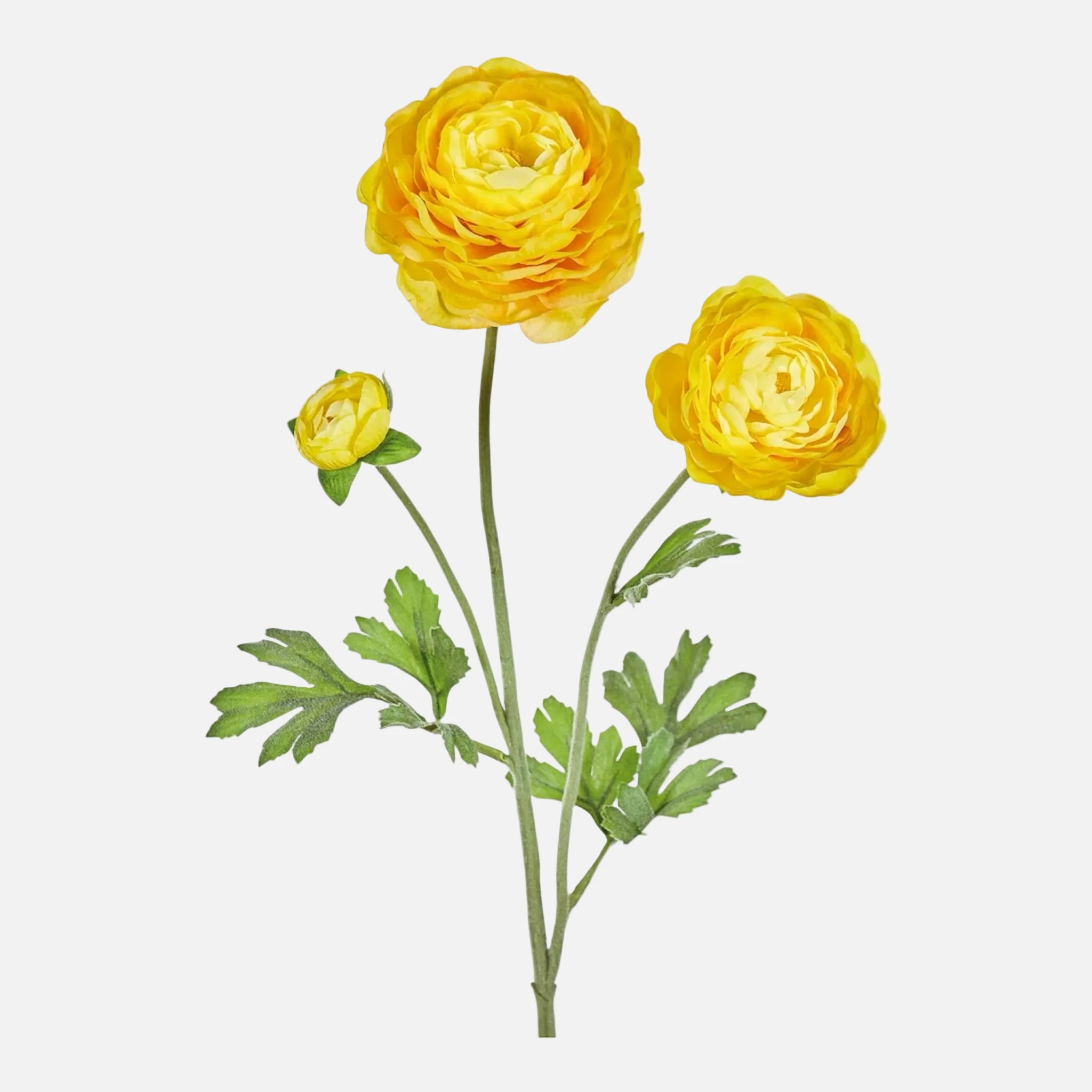 Ranunculus Artificial