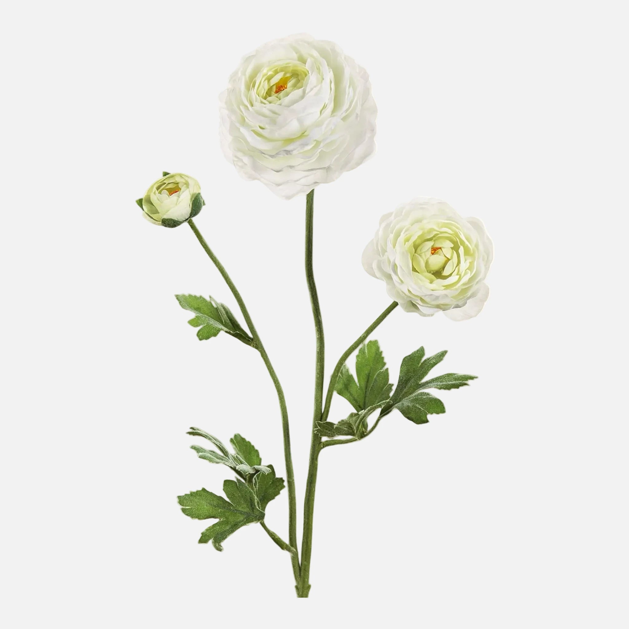 Ranunculus Artificial