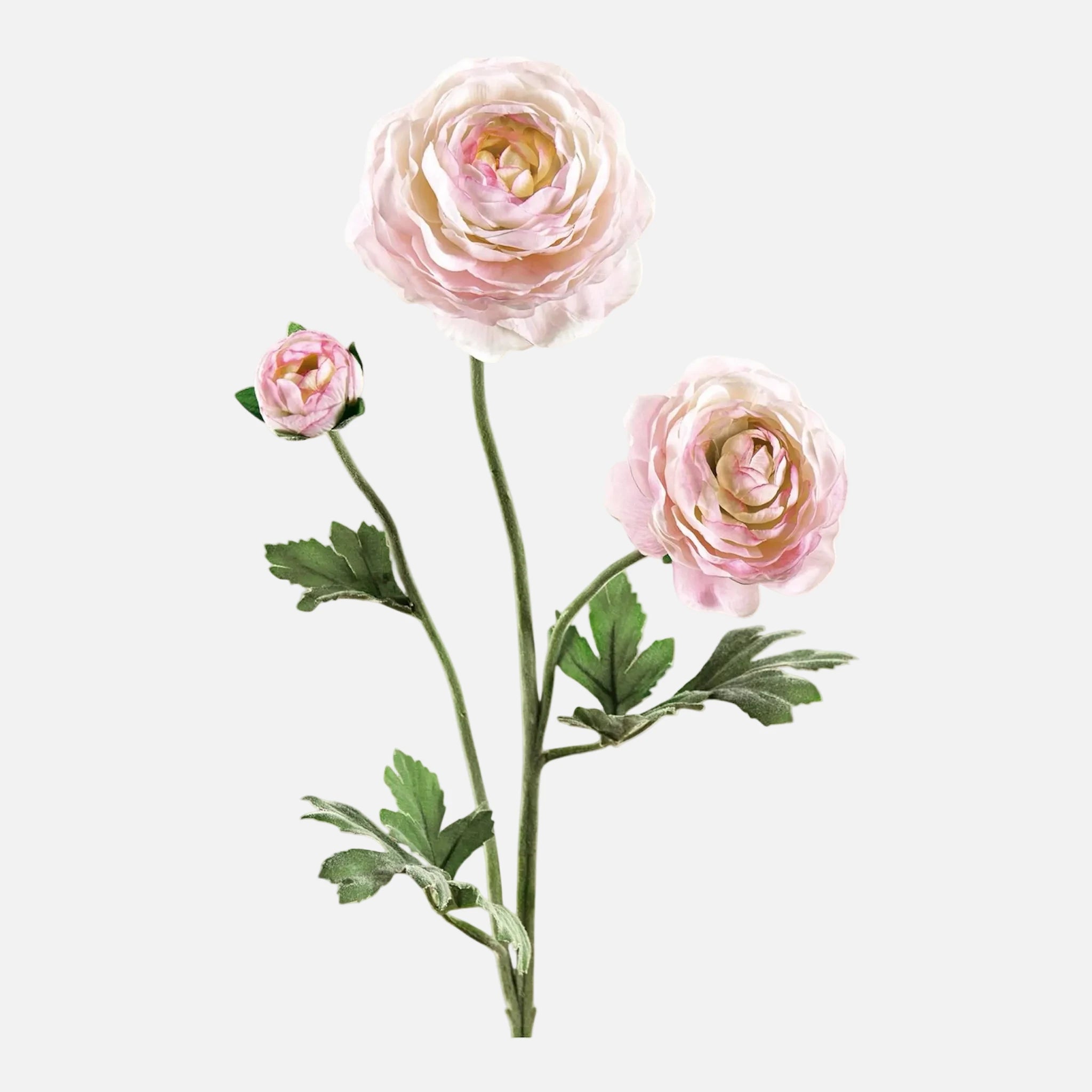 Ranunculus Artificial
