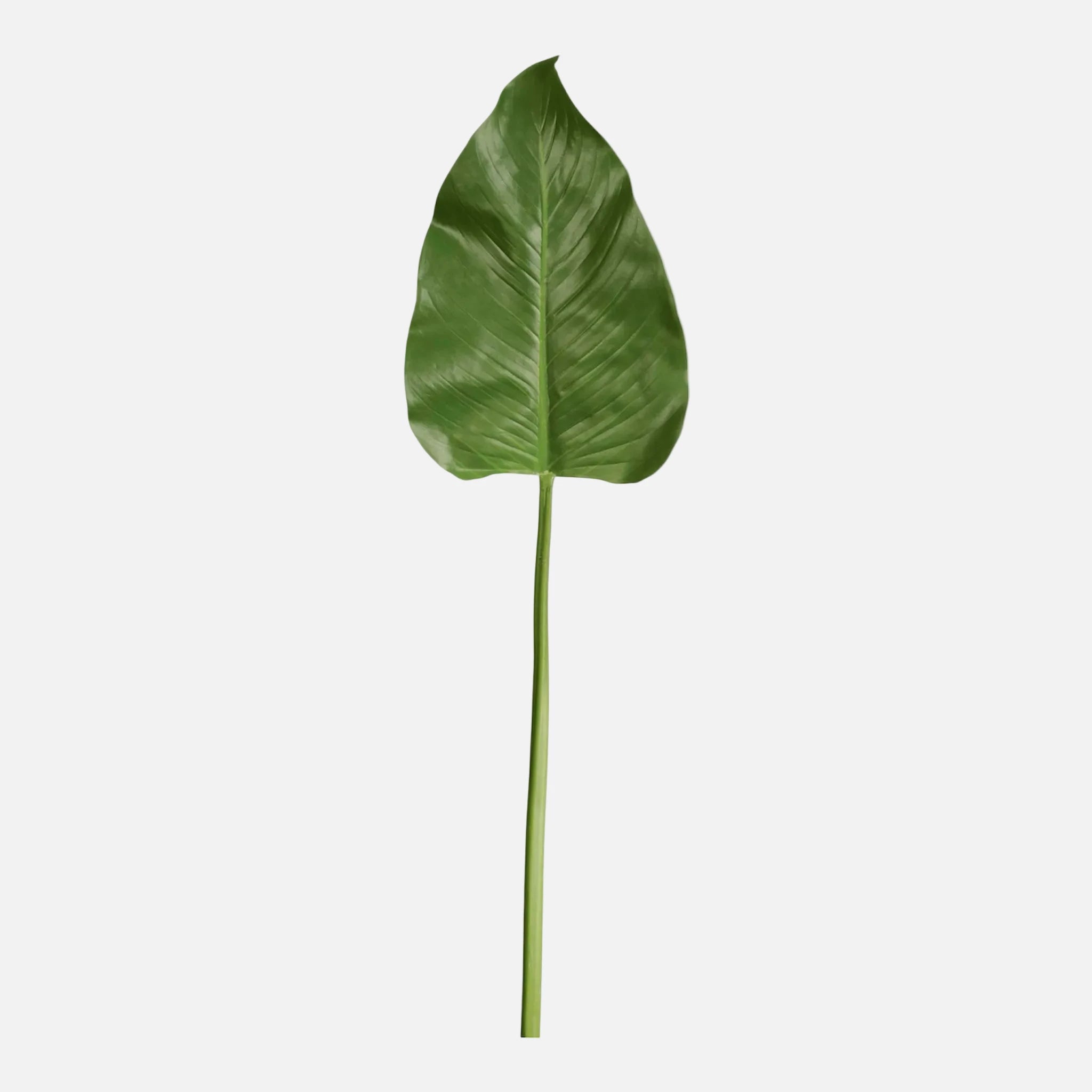 Hoja Calla Artificial Individual