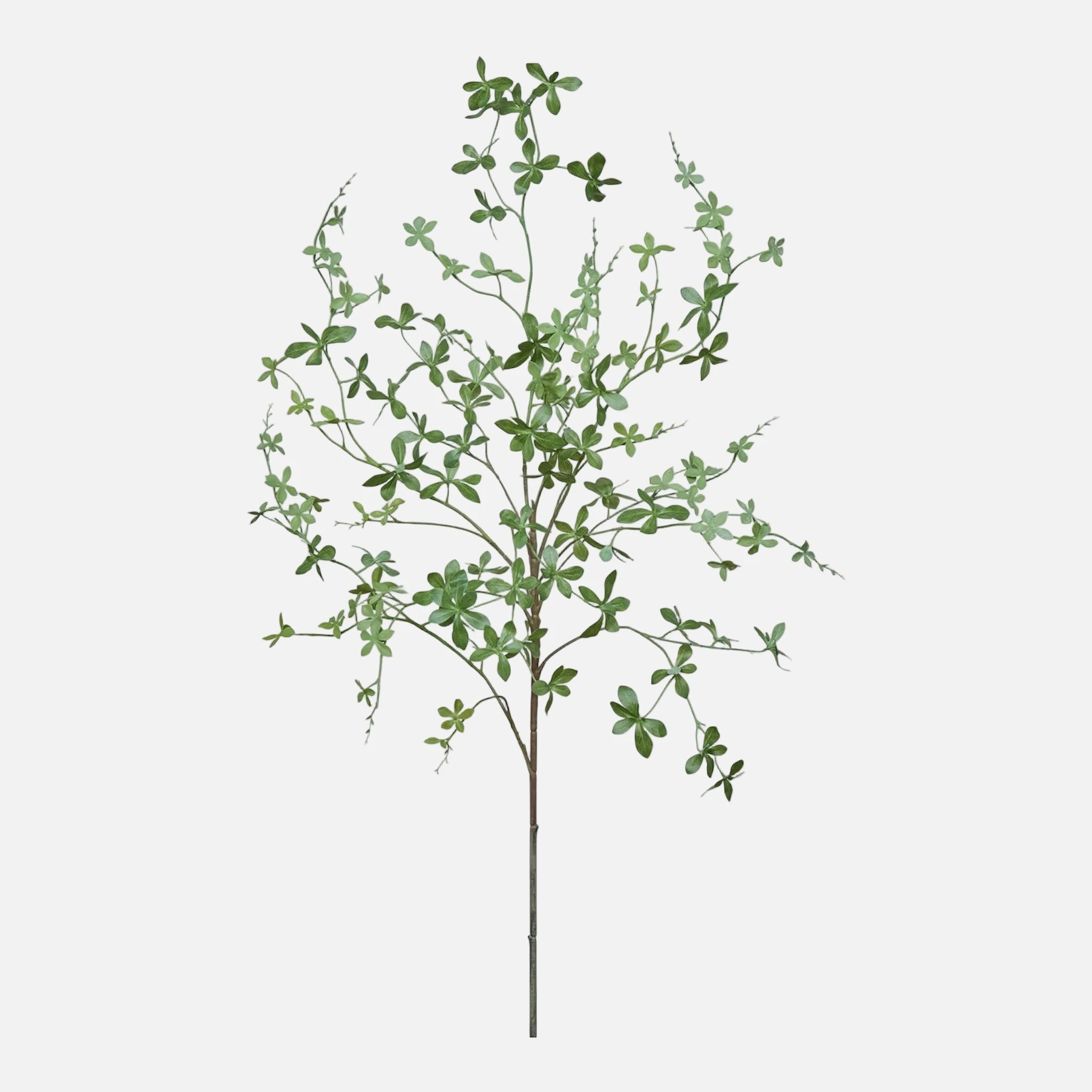 Enkianthus Perulatus Artificial