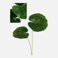 Hoja Galax Artificial Individual