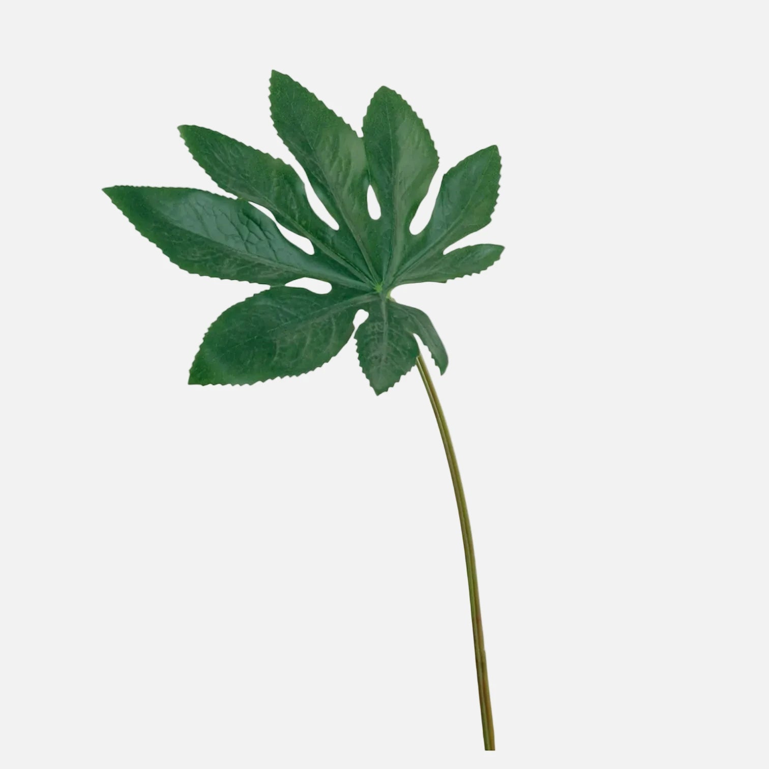 Hoja Aralia Artificial