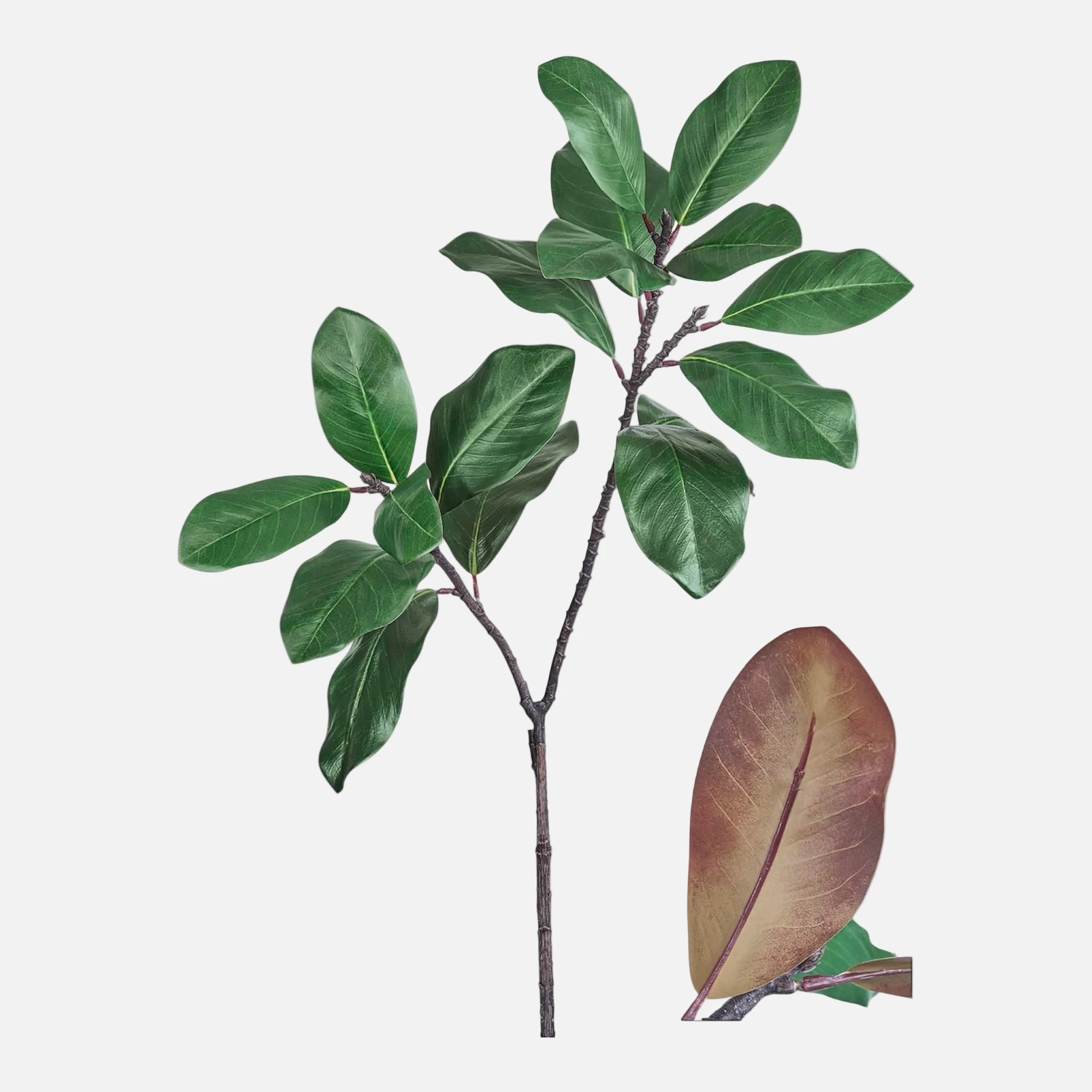 Rama de Magnolia Artificial