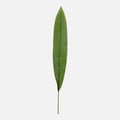 Hoja Aspidistra Artificial