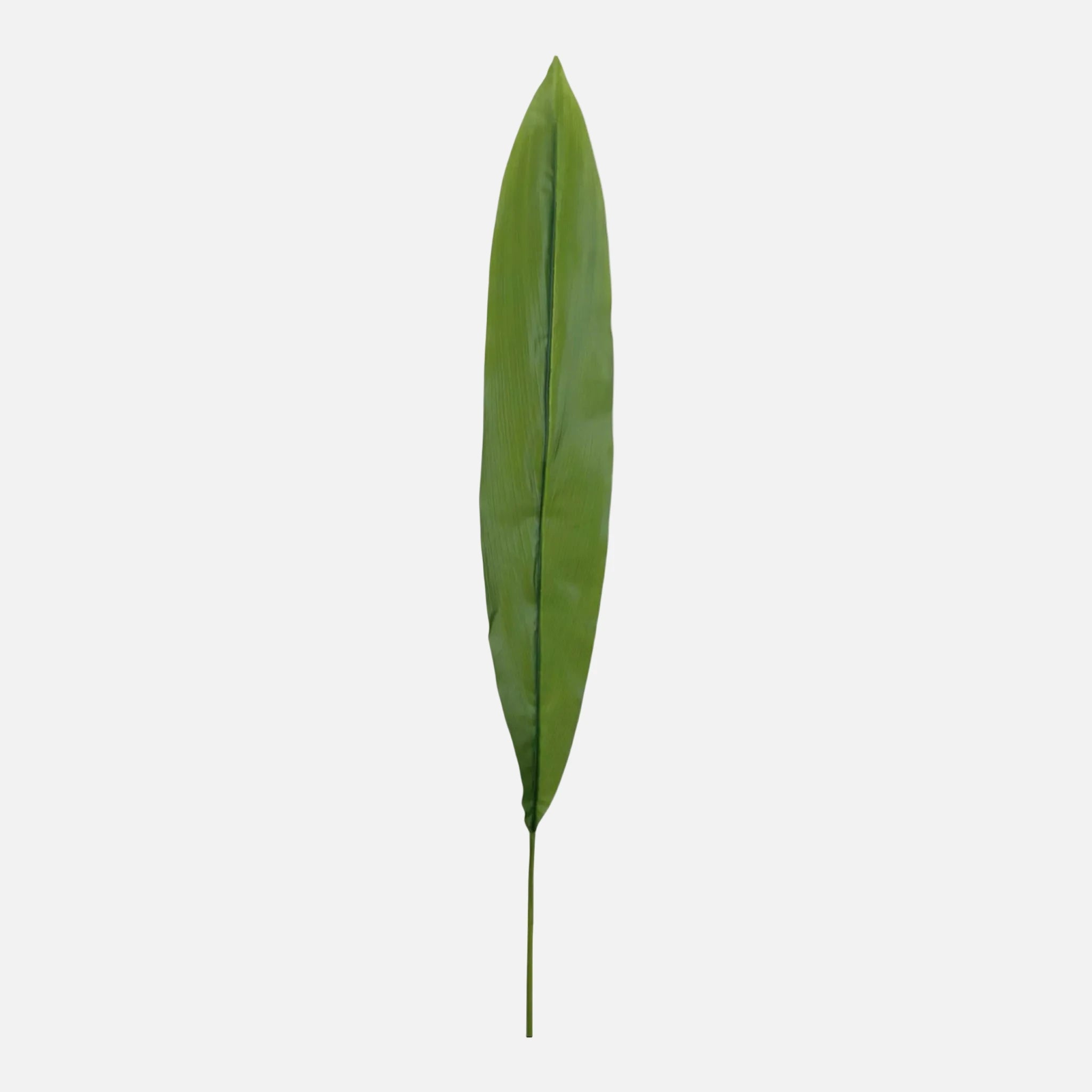Hoja Aspidistra Artificial
