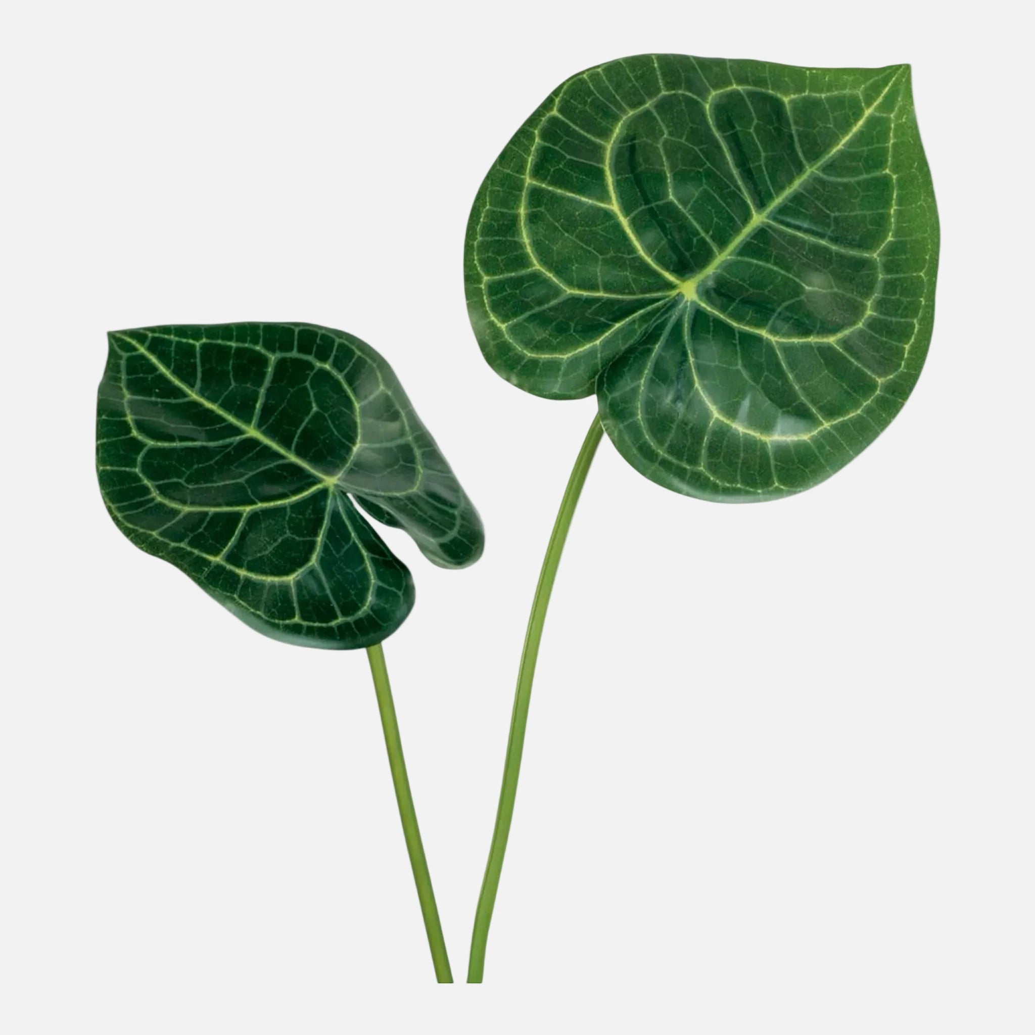 Hoja de Anthurium Artificial Individual