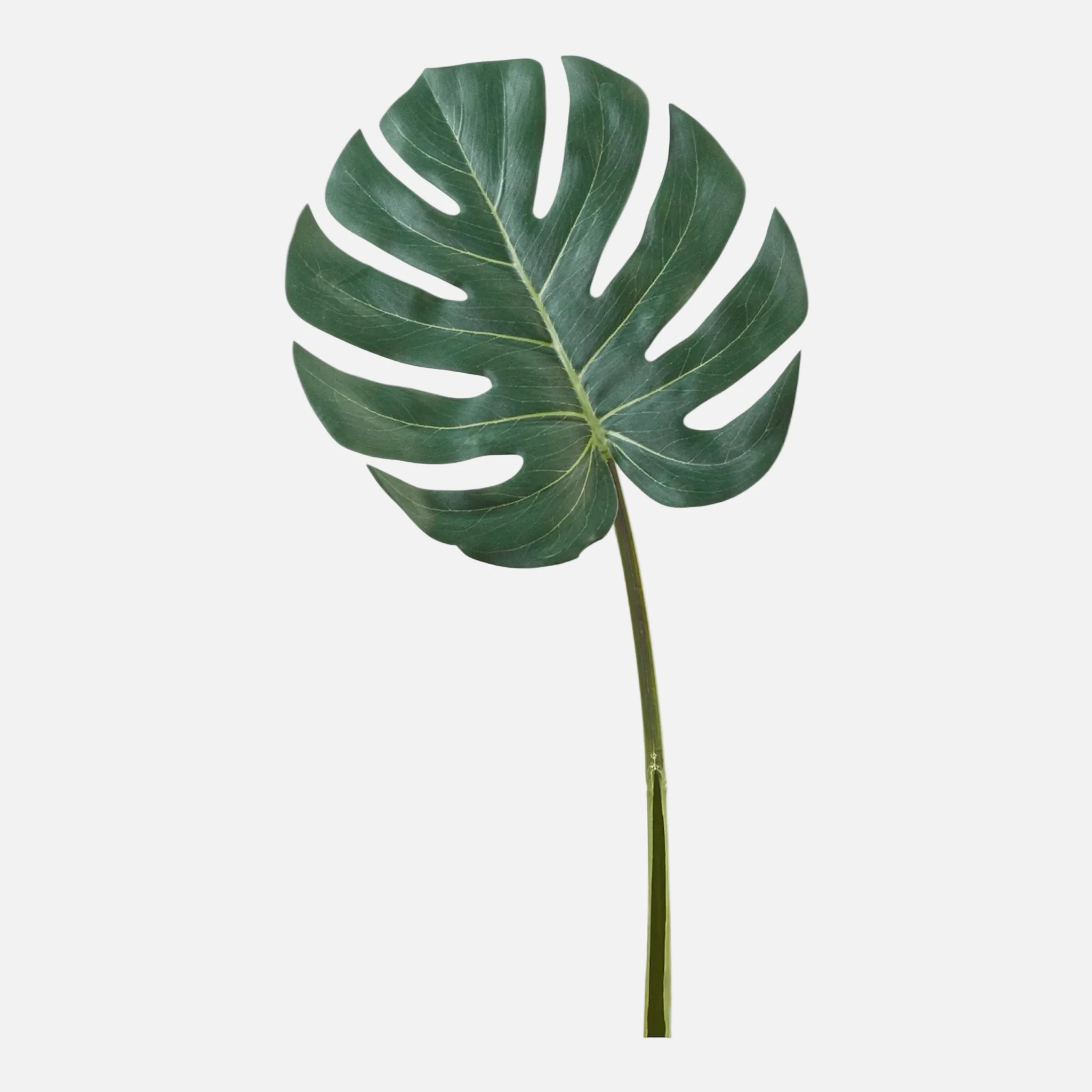 Hoja de Monstera Artificial Individual