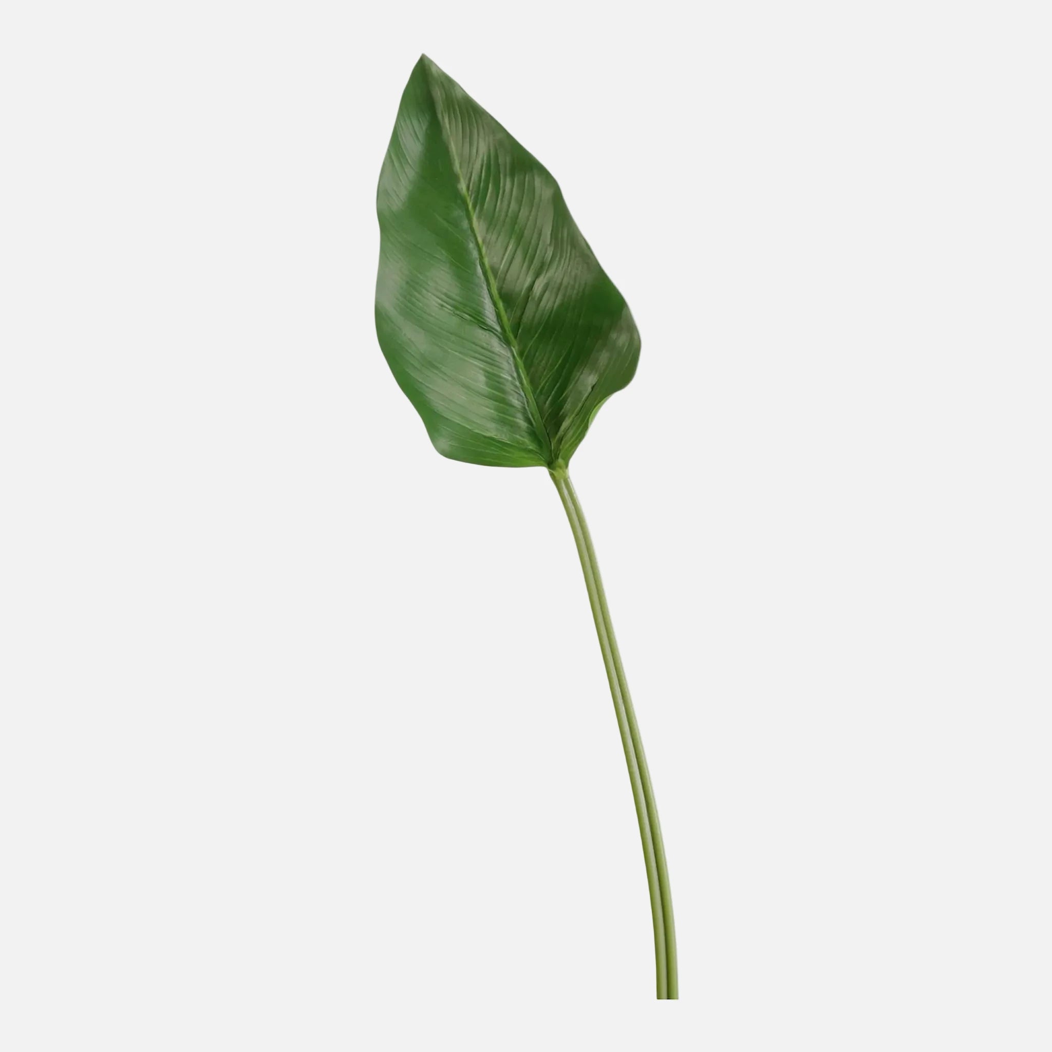 Hoja Calla Artificial Individual