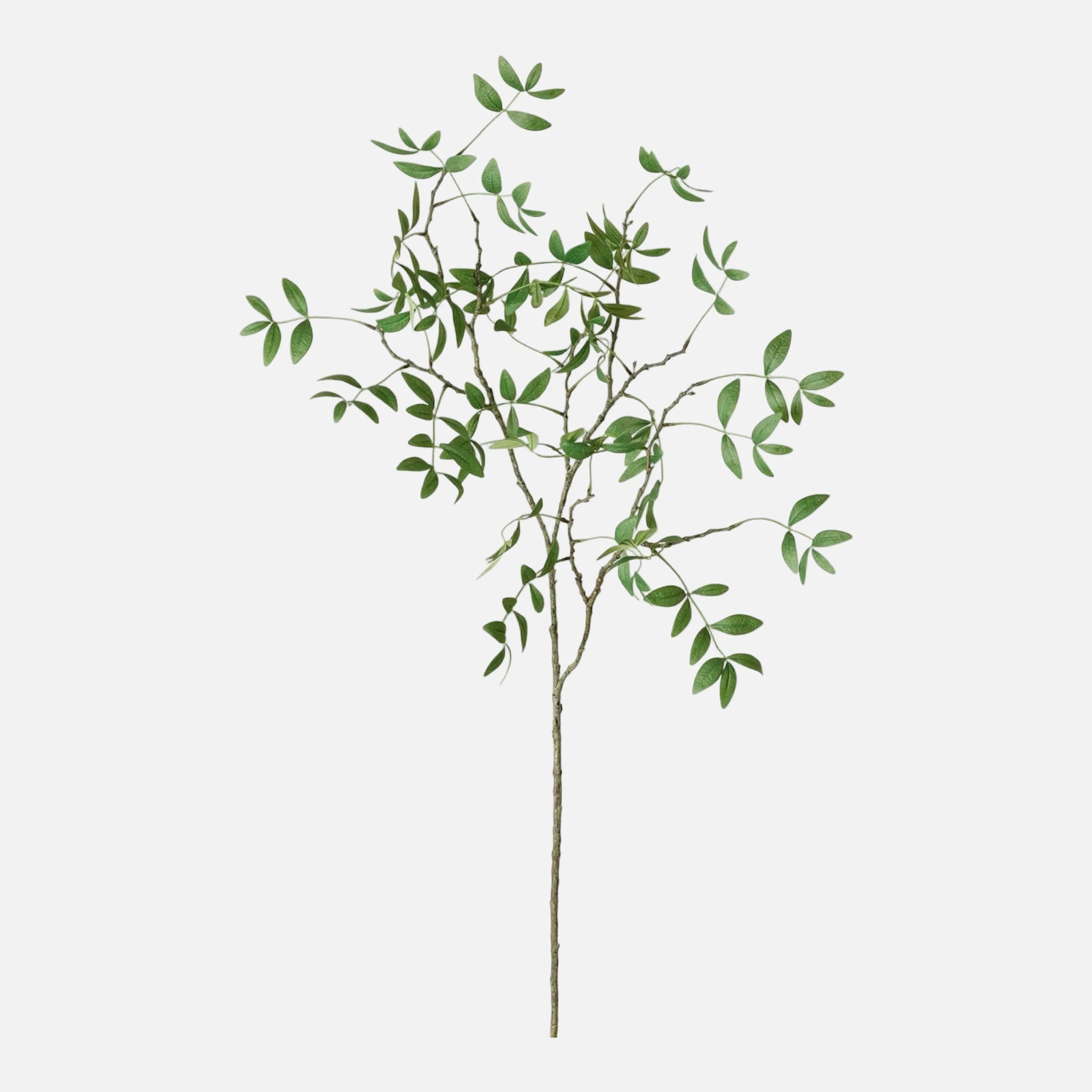 Rama de Sassafras Artificial