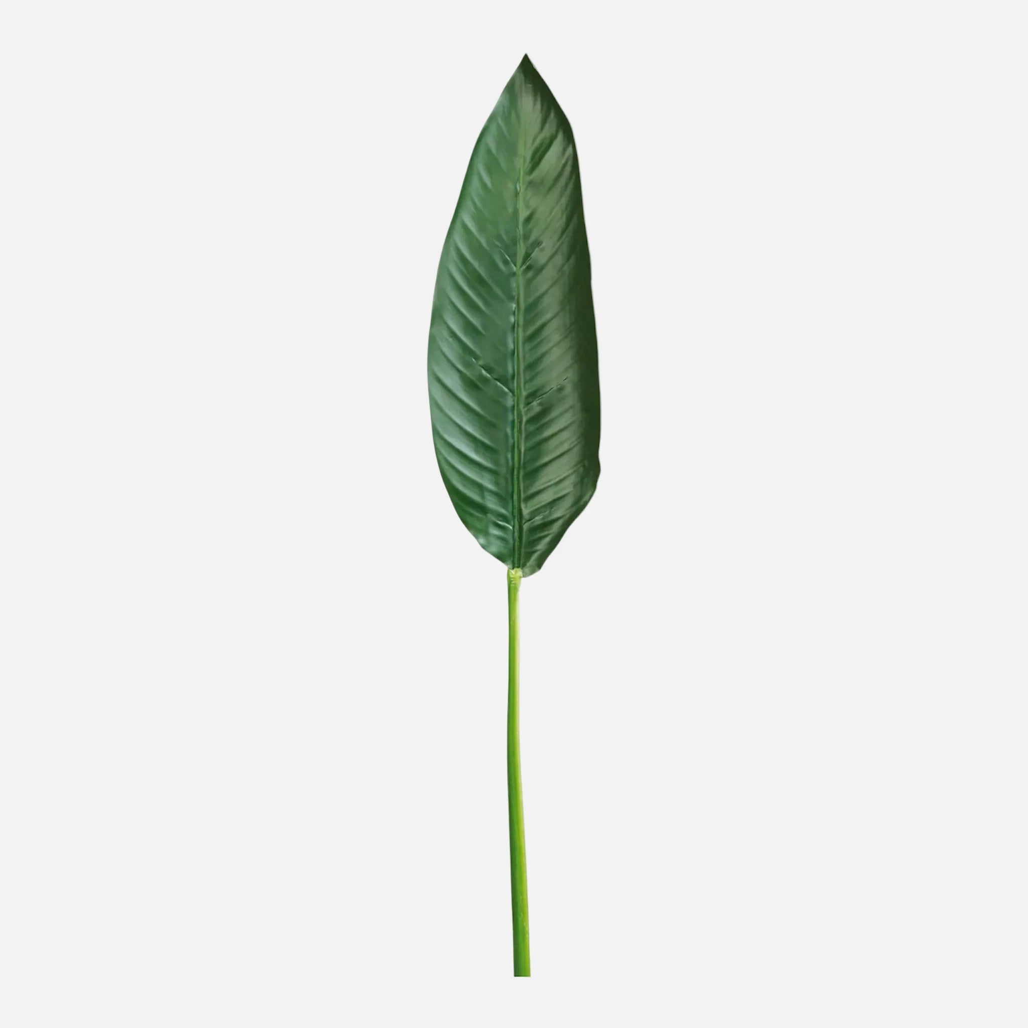 Hoja de Strelitzia Artificial Individual