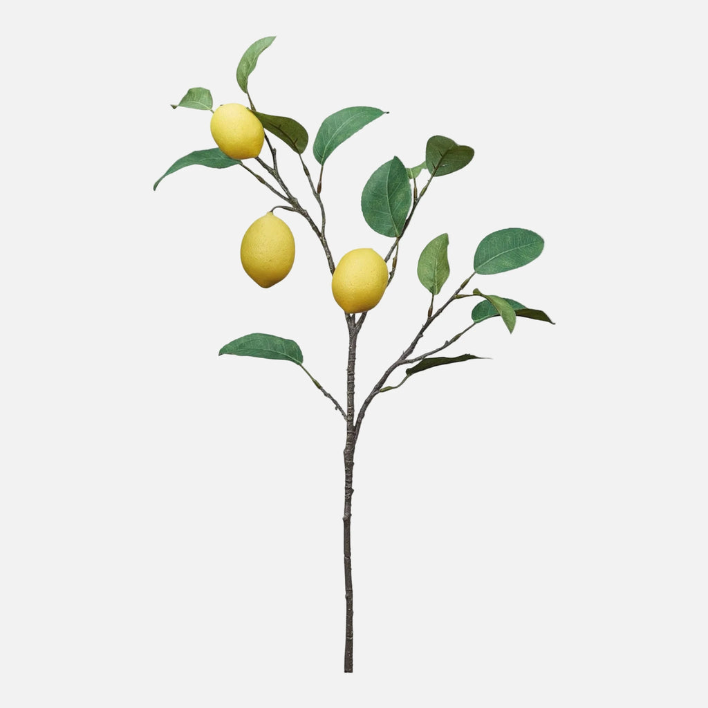 Rama de Limón Artificial con Frutos