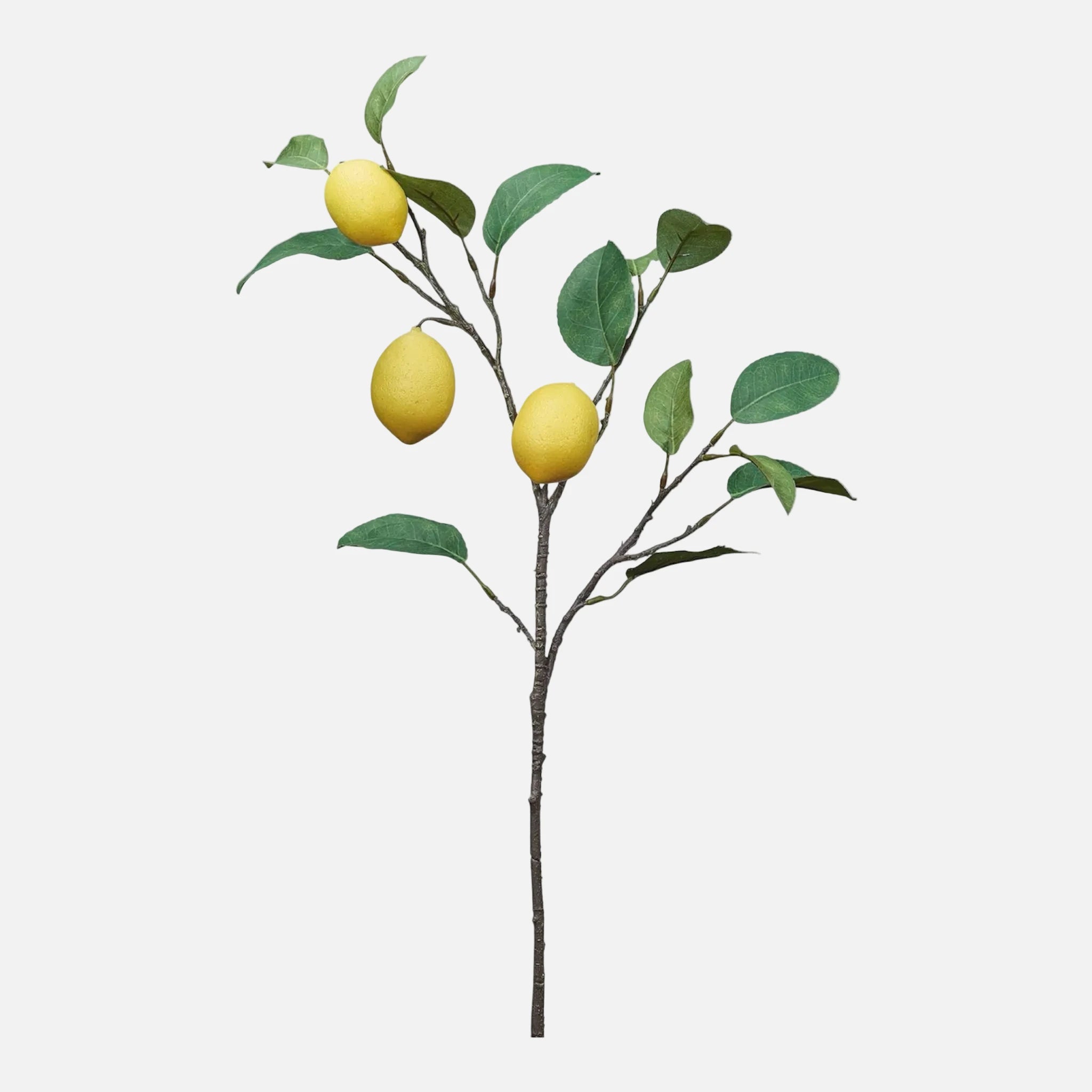 Rama de Limón Artificial con Frutos