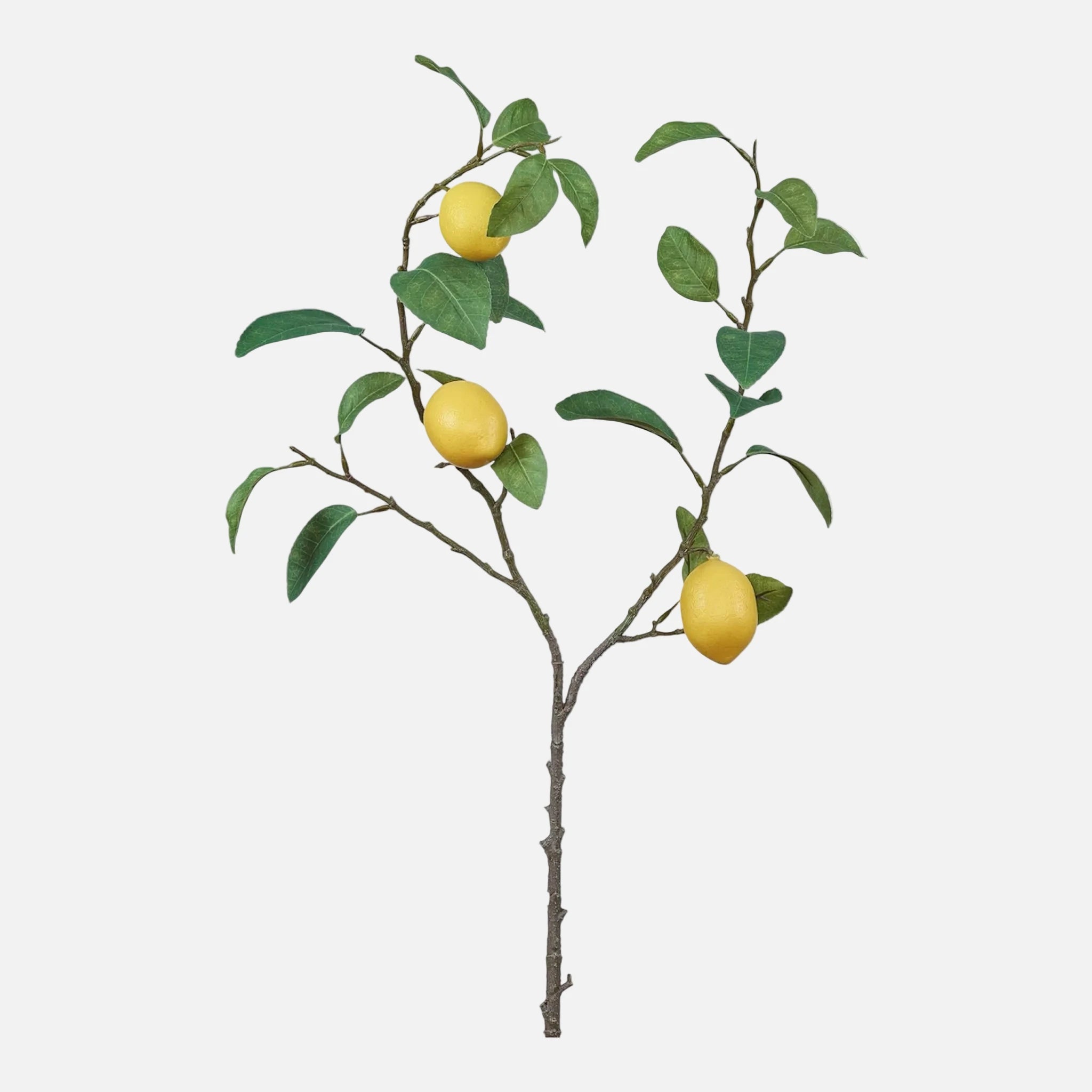 Rama de Limón Artificial con Frutos