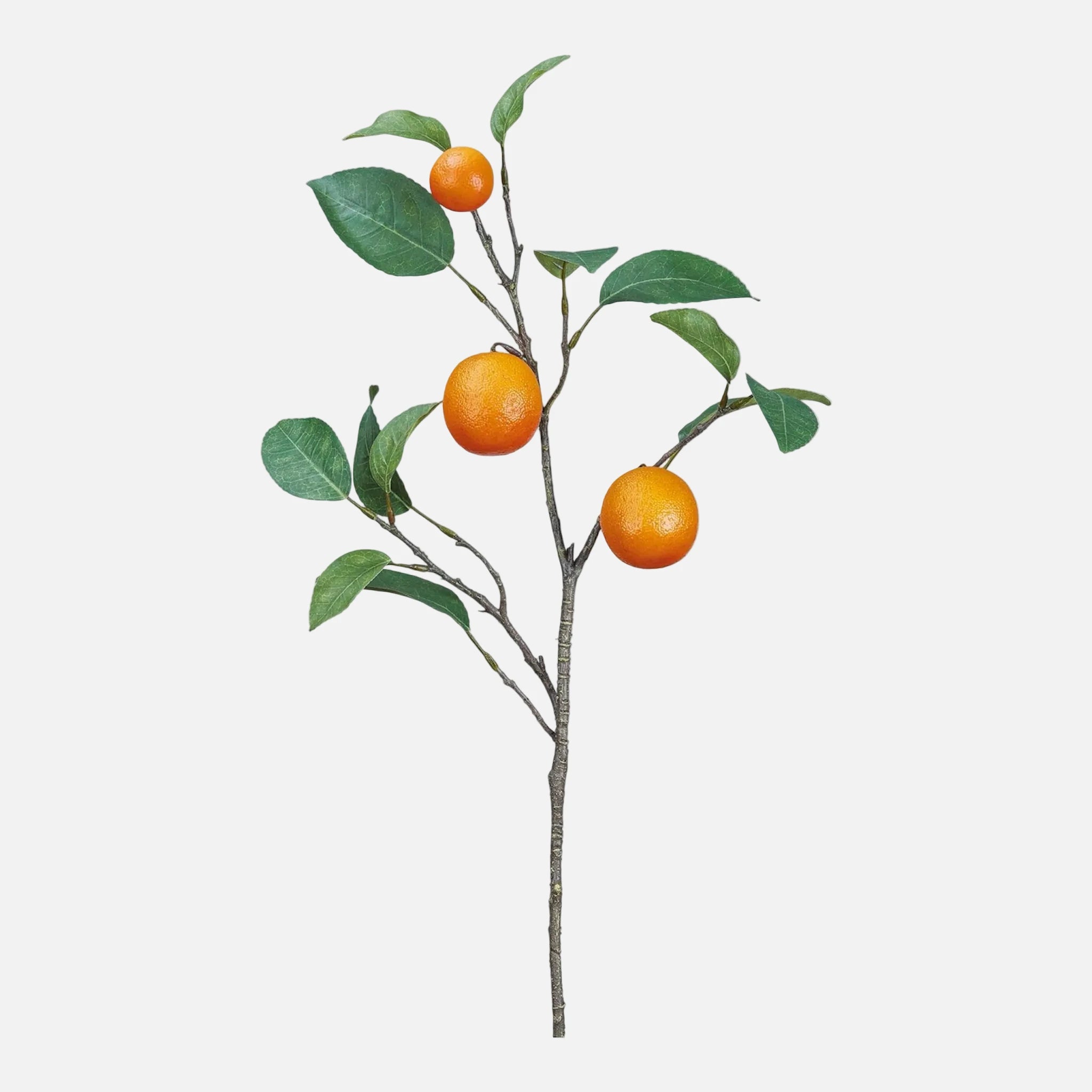 Rama de Naranjo Artificial con Frutos