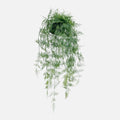 Colgante Bola de Asparagus Artificial