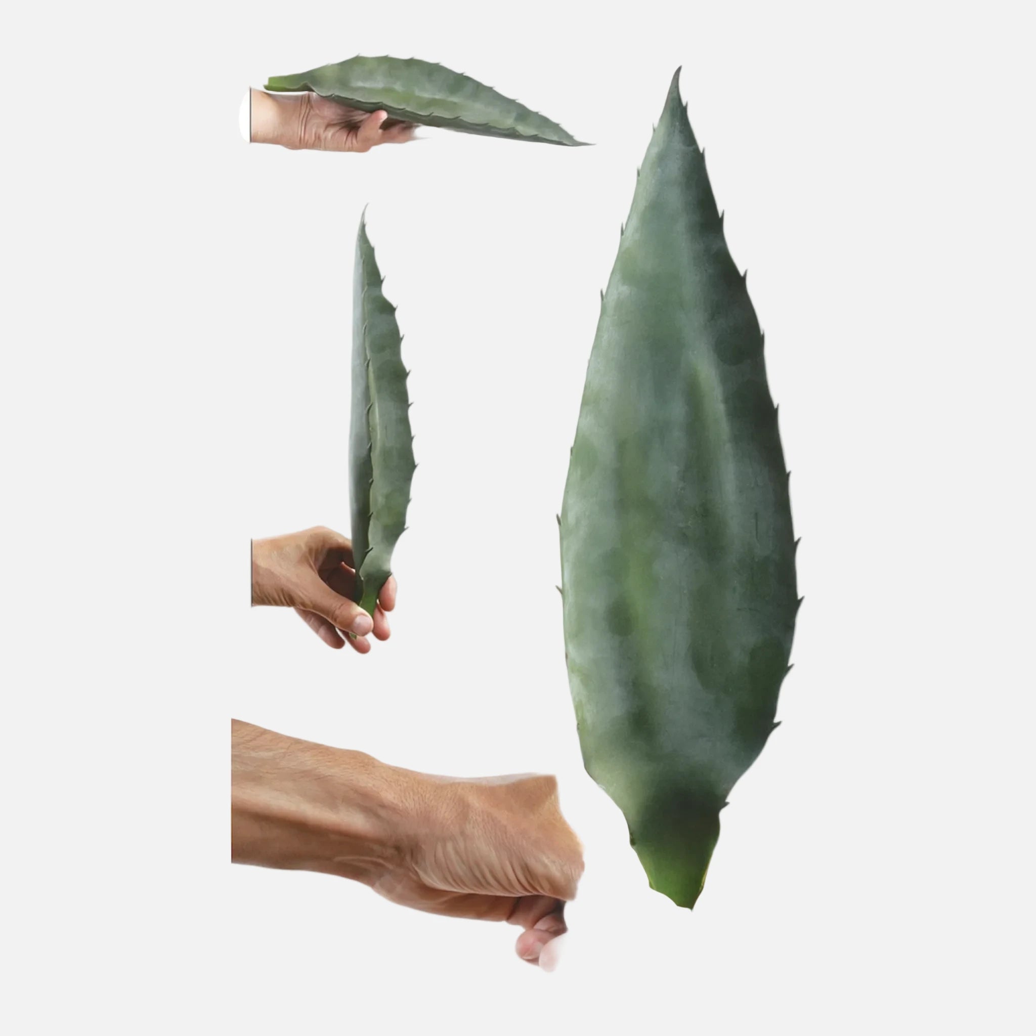 Hoja Aloe Artificial