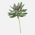 Pick Echeveria Artificial