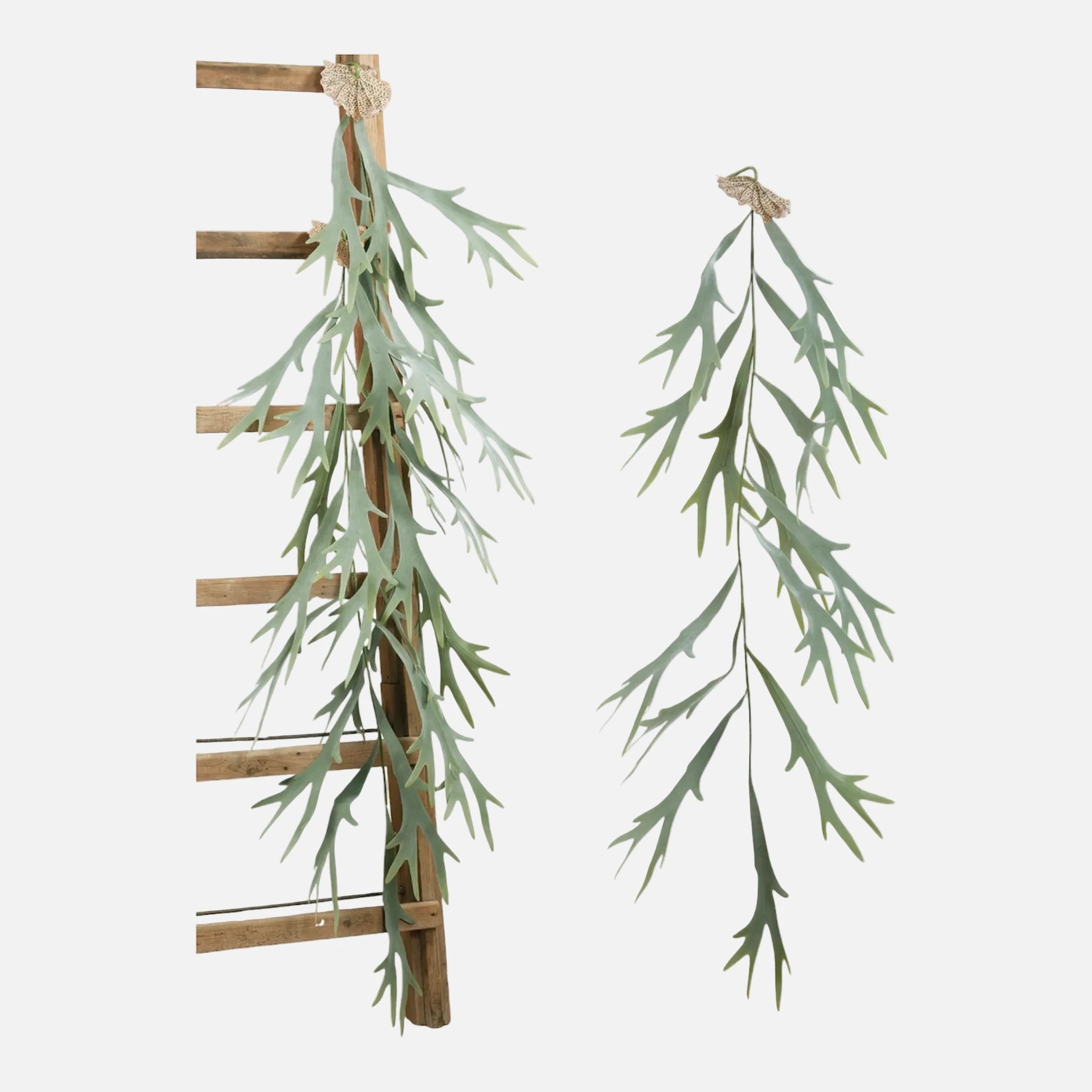Colgante Platycerium Gigante Artificial
