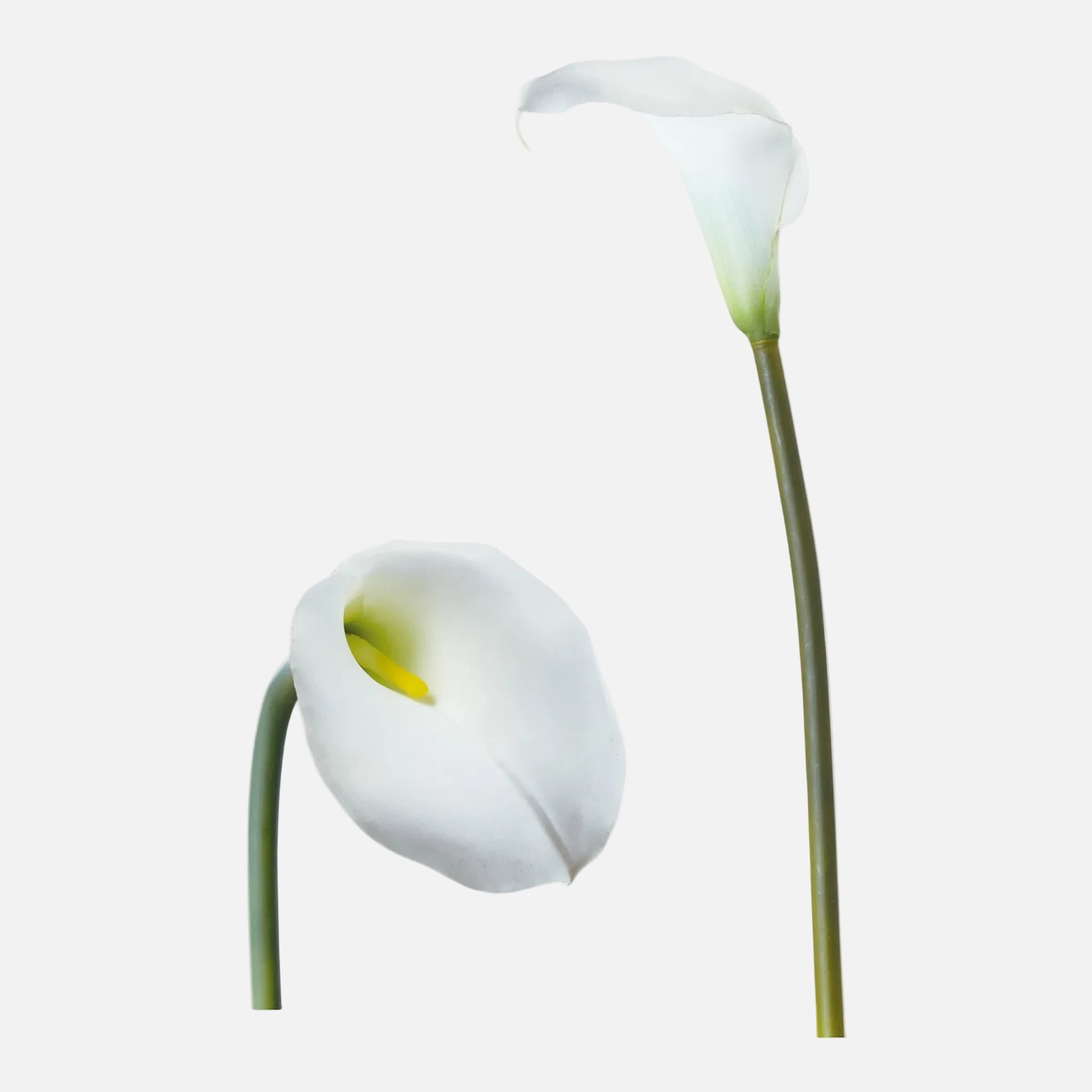 Calla Artificial Individual