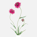 Scabiosa Artificial