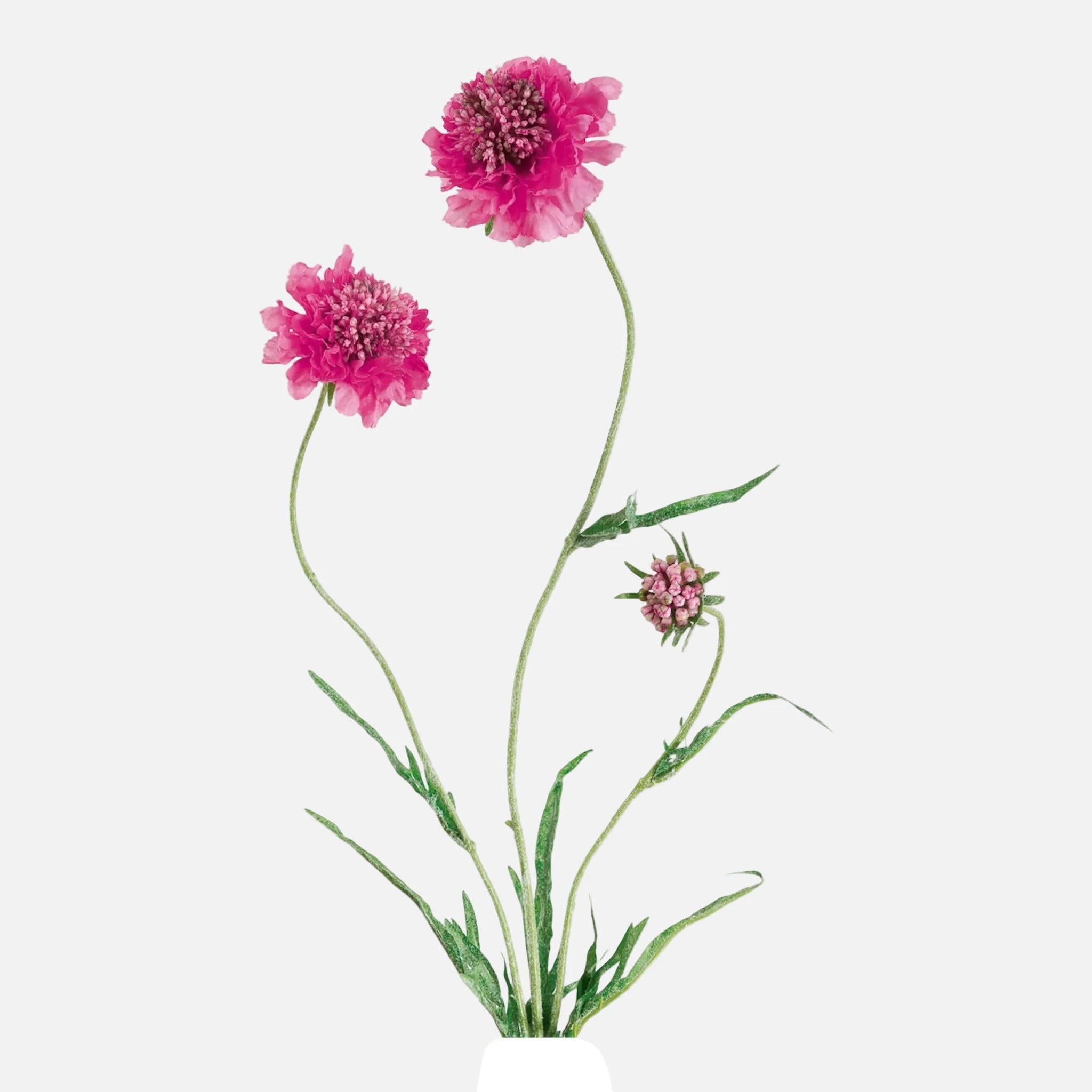 Scabiosa Artificial