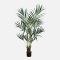 Palmera Kentia Artificial