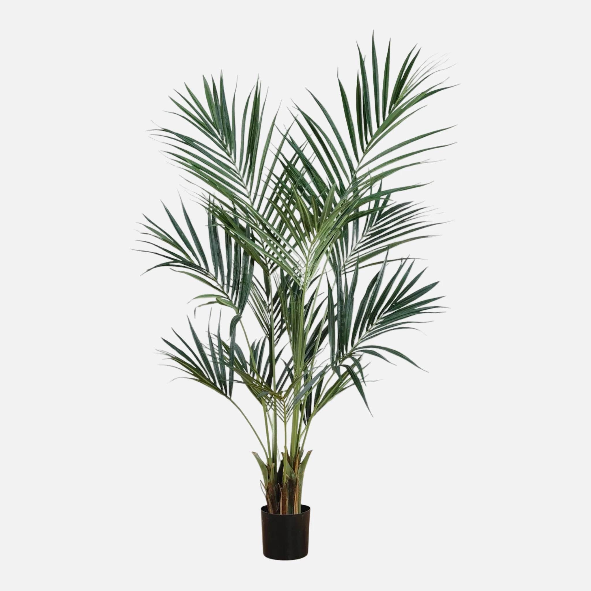 Palmera Kentia Artificial
