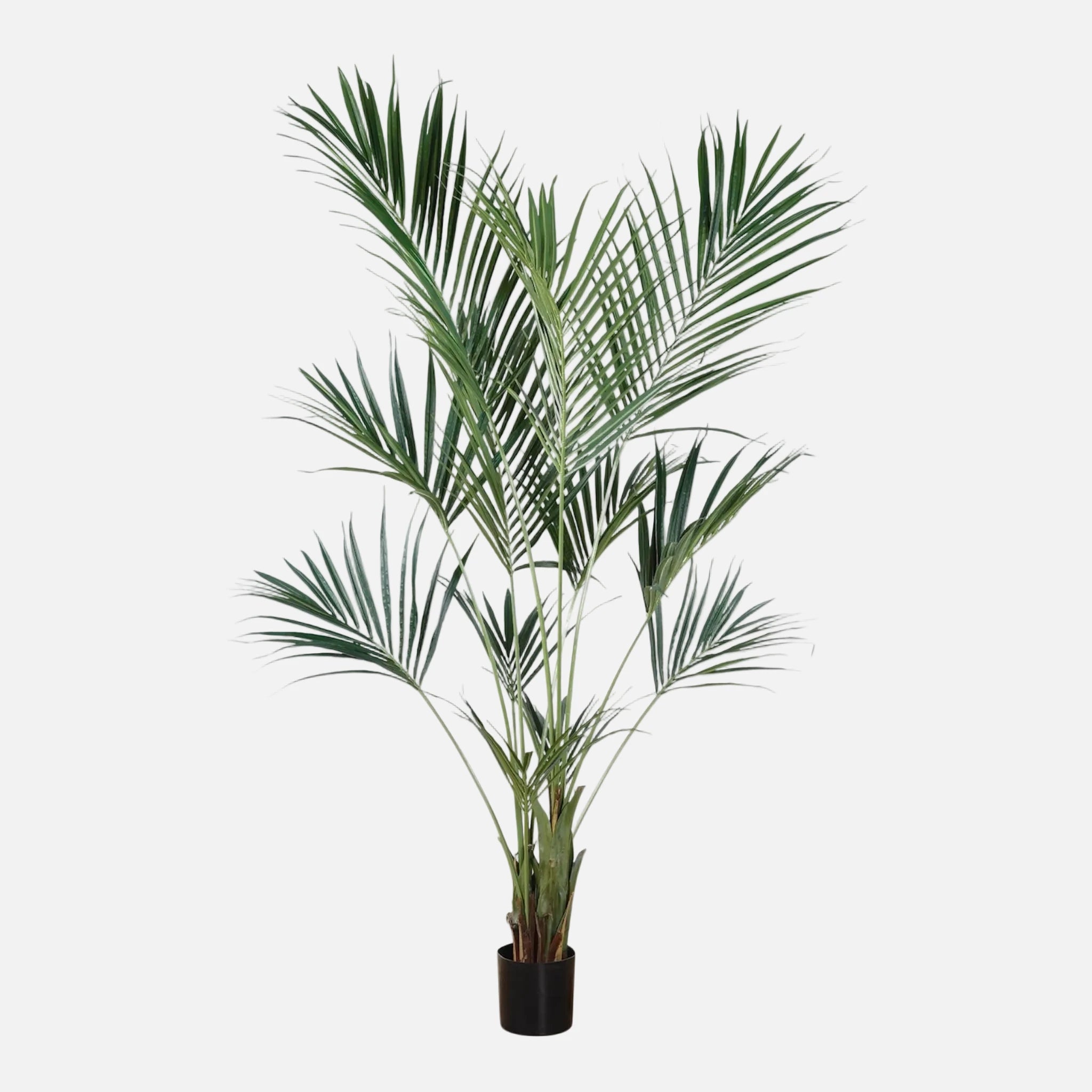 Palmera Kentia Artificial