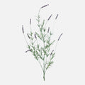 Rama de Lavanda Artificial