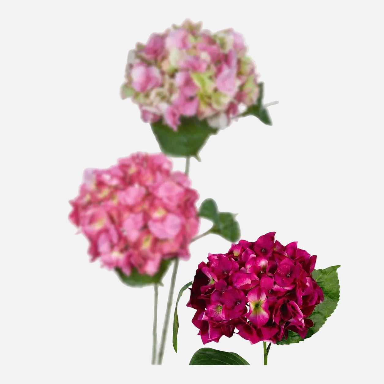Hortensia Fresh Artificial