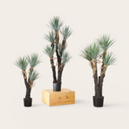 Yuca Artificial · BOSSVI