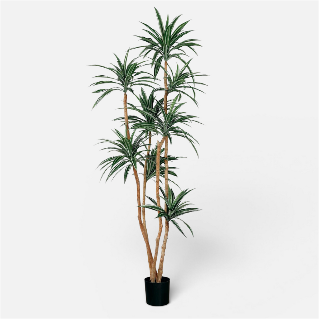 Dracaena Artificial · BOSSVI