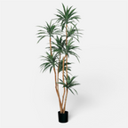 Dracaena Artificial · BOSSVI