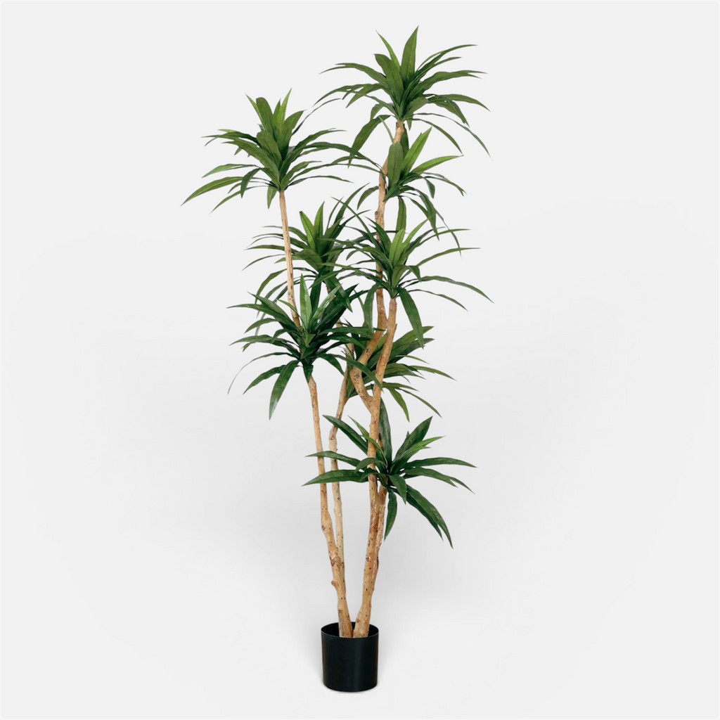 Dracaena Artificial · BOSSVI