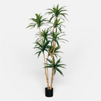 Dracaena Artificial · BOSSVI