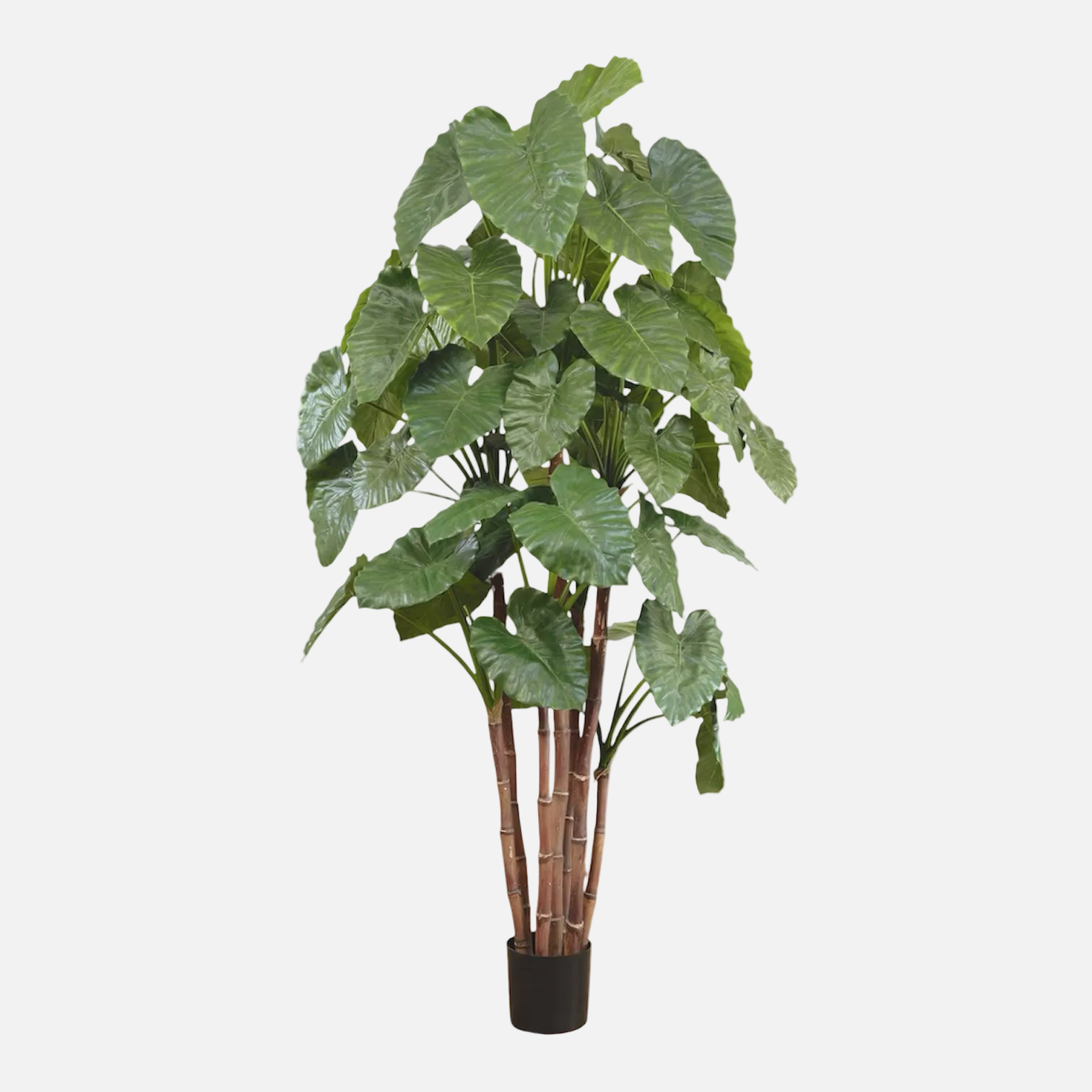 Alocasia Artificial Grande