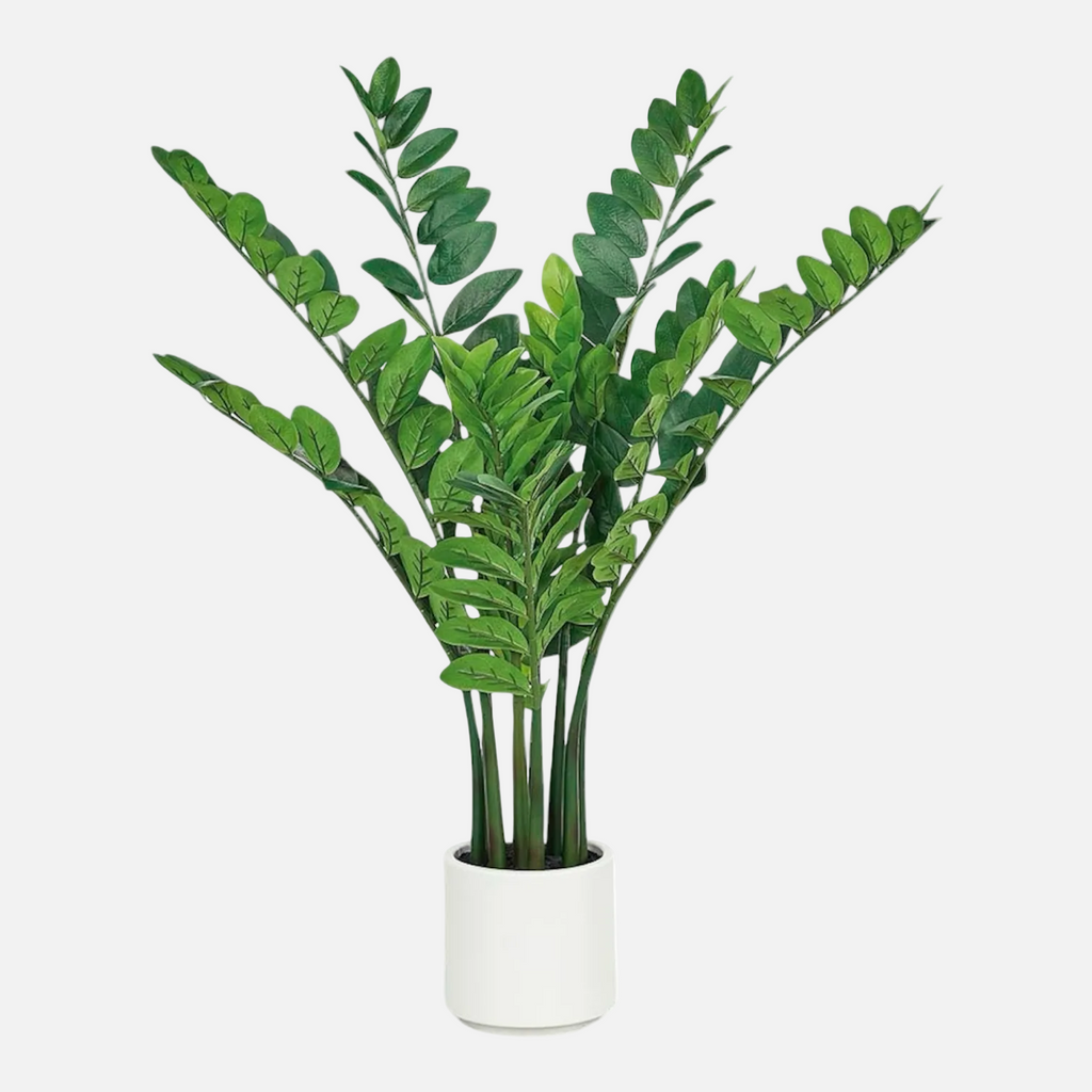 Zamifolia Artificial