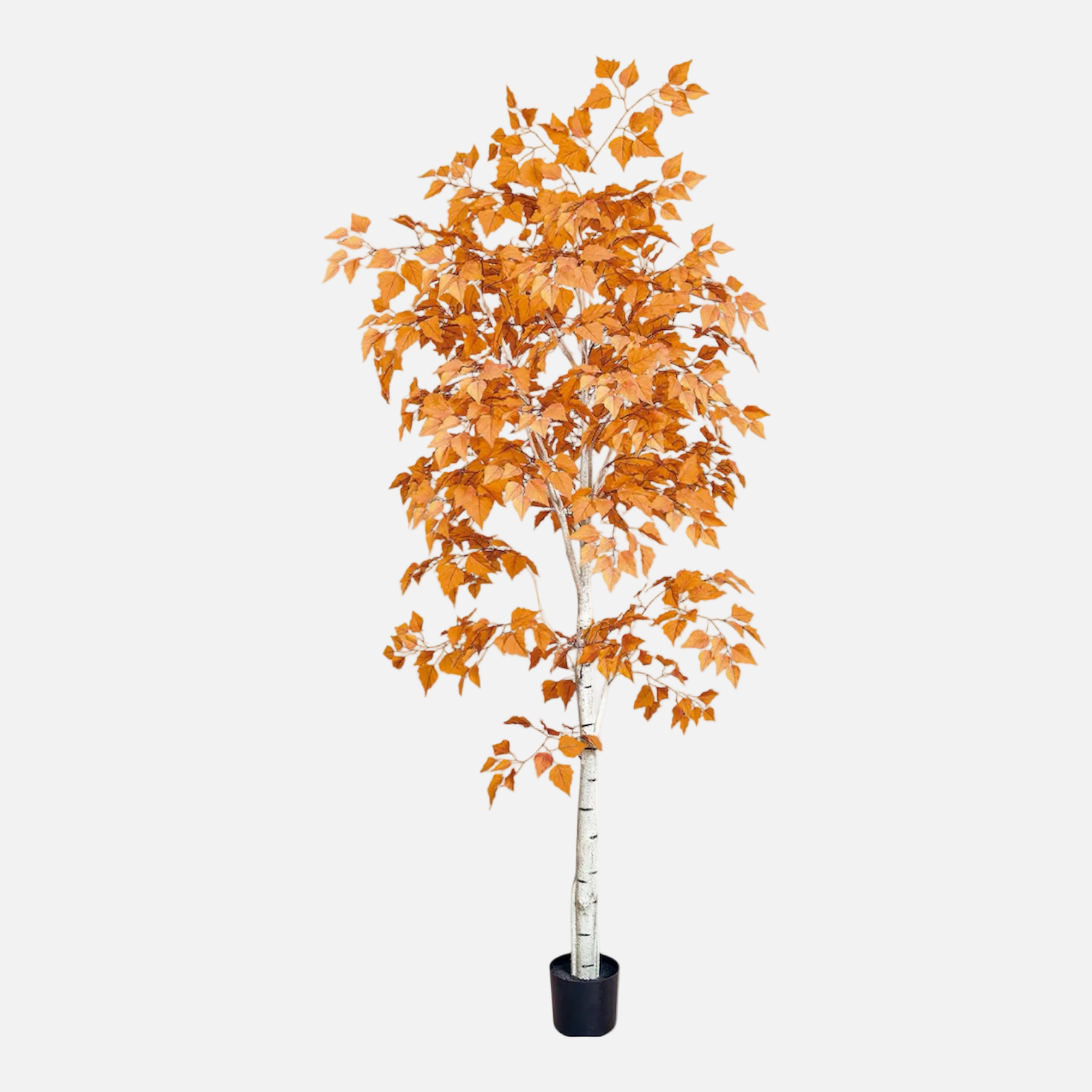 Abedul Artificial Otoño