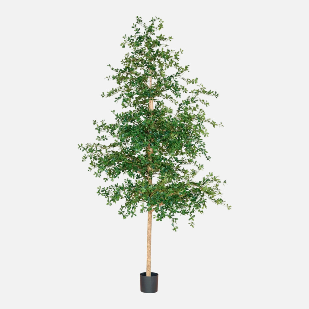 Olivo Oriental Artificial XXL
