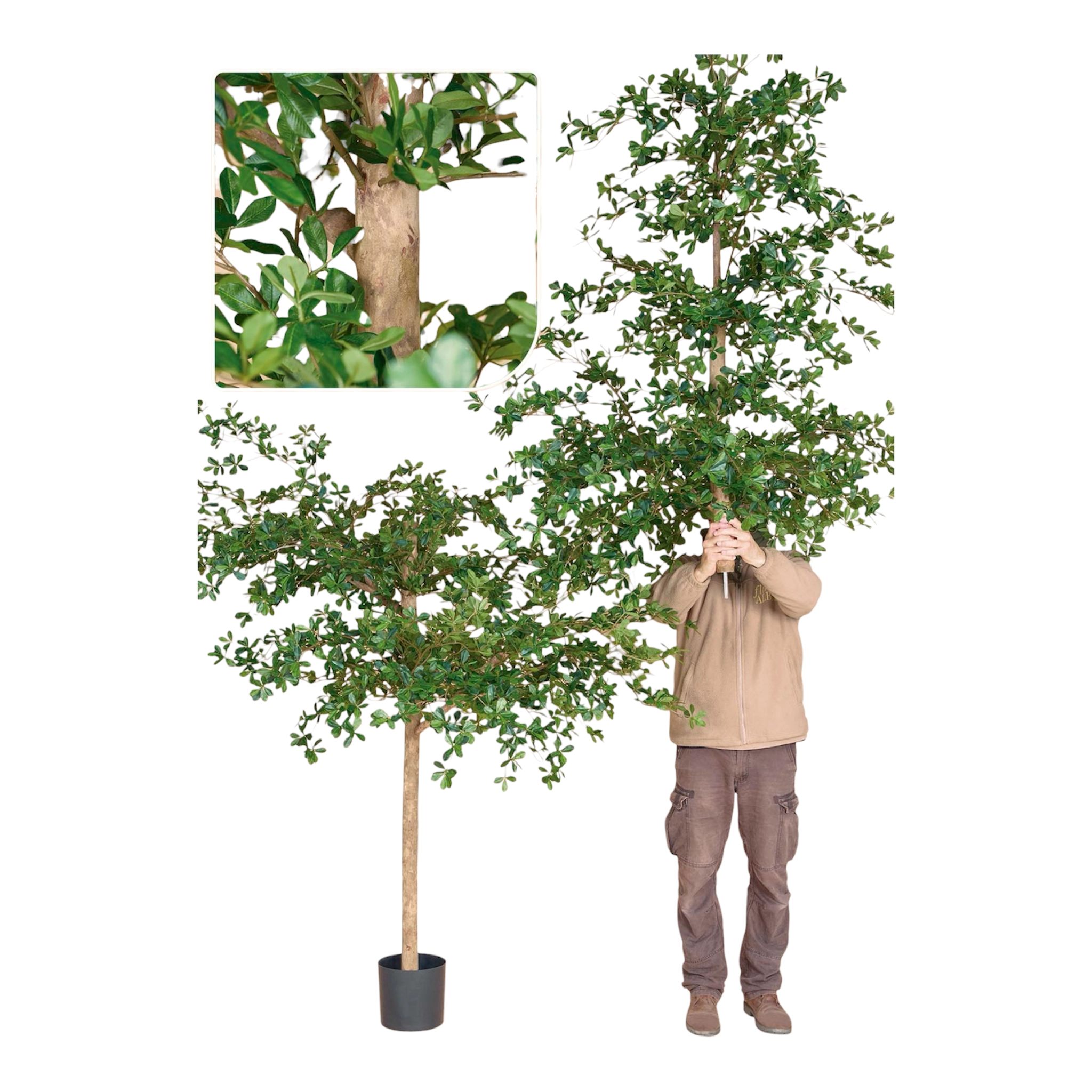 Olivo Oriental Artificial XXL