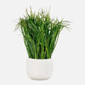 Grass Artificial en Maceta