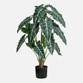 Alocasia Amazónica Artificial en Maceta