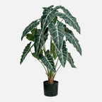Alocasia Amazónica Artificial en Maceta · BOSSVI