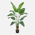 Strelitzia Artificial en Maceta