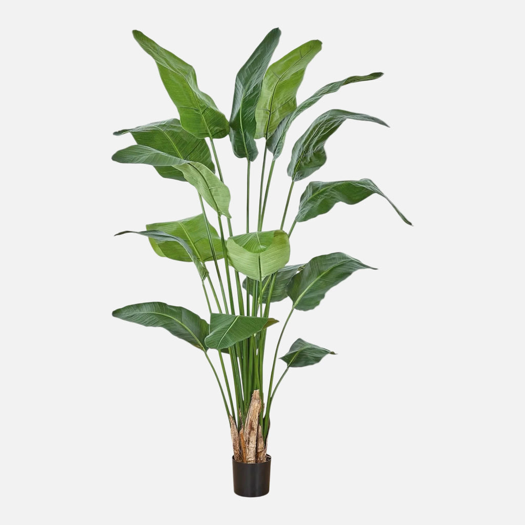 Strelitzia Artificial en Maceta