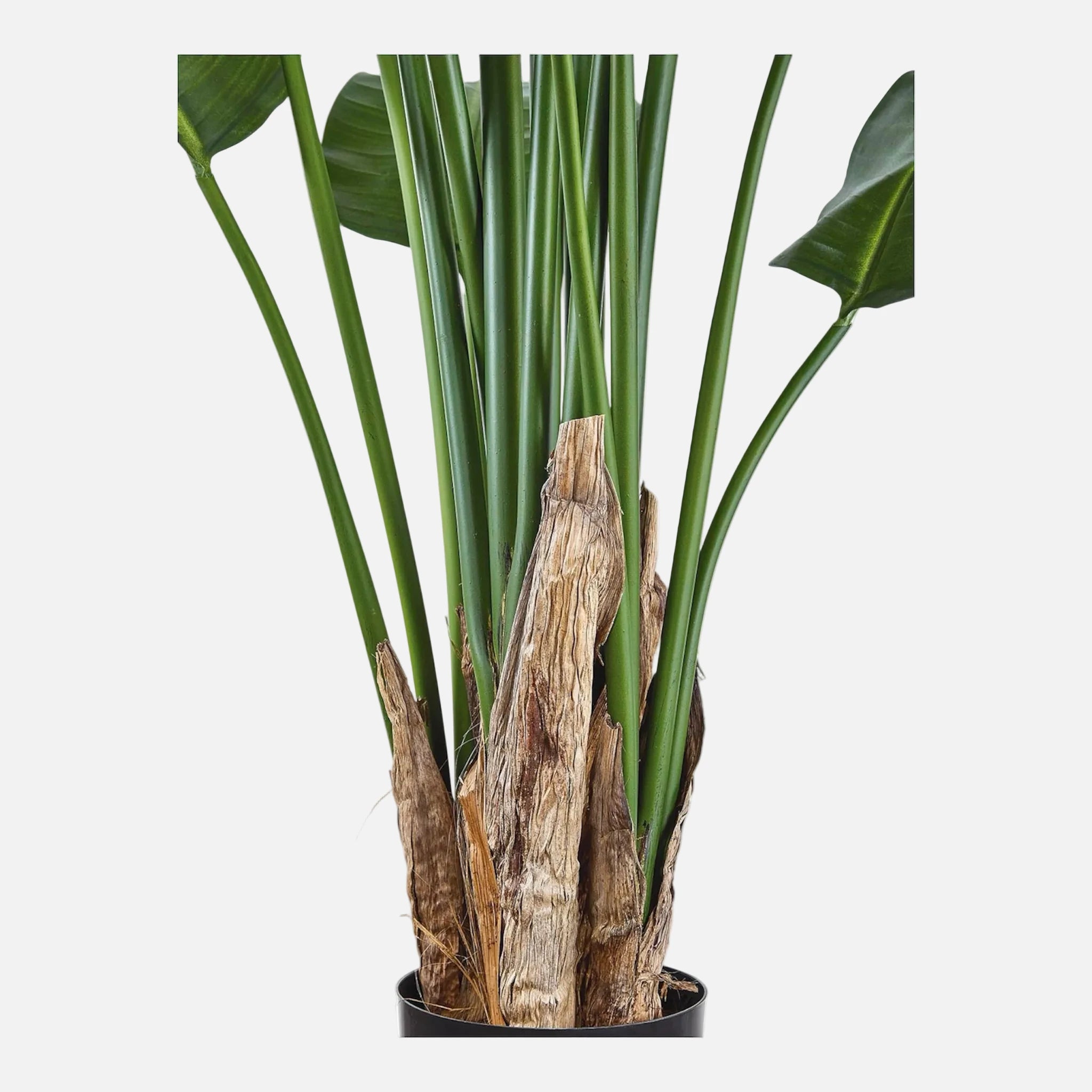 Strelitzia Artificial en Maceta