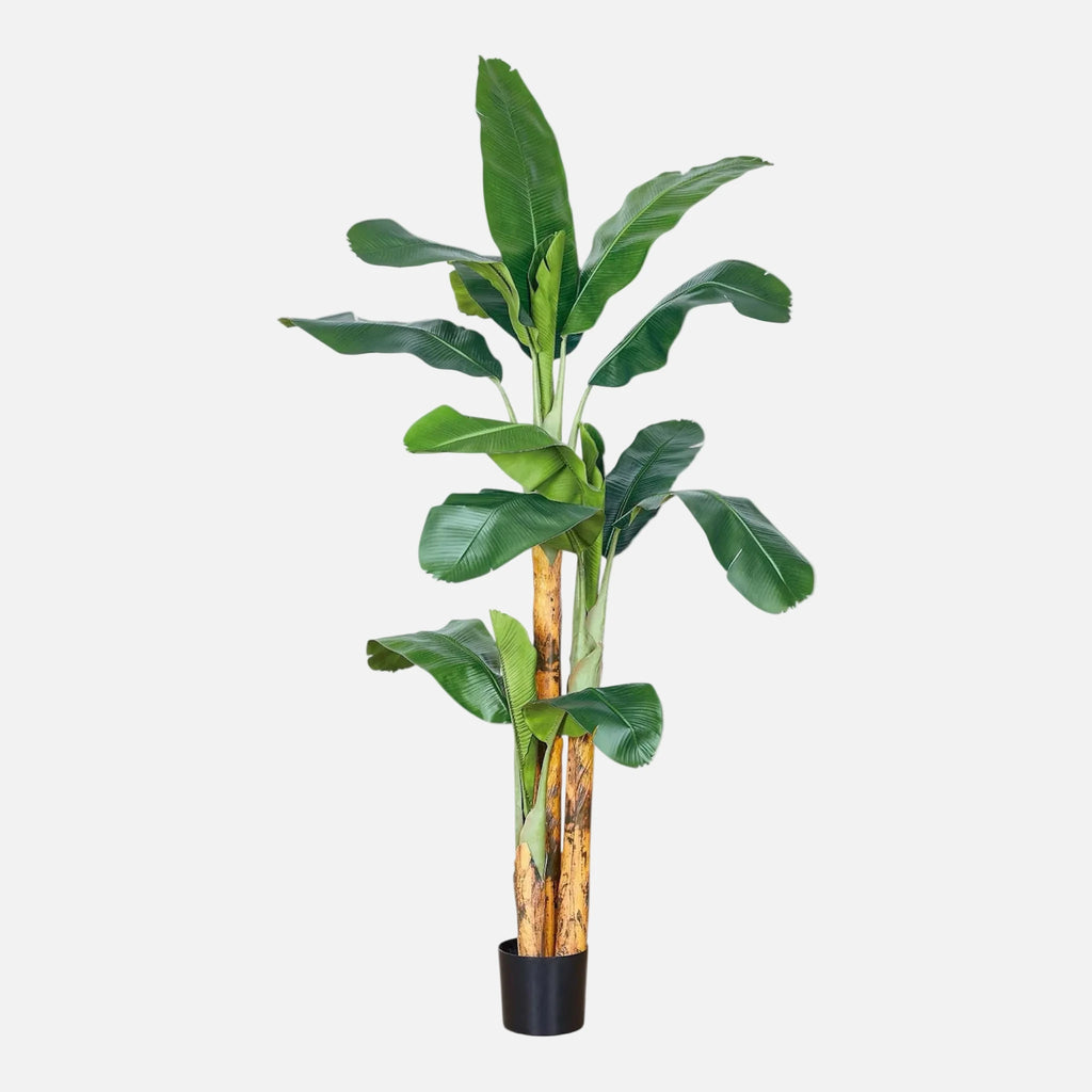 Bananera Artificial en Maceta