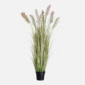 Cortaderia Artificial