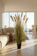 Cortaderia Artificial